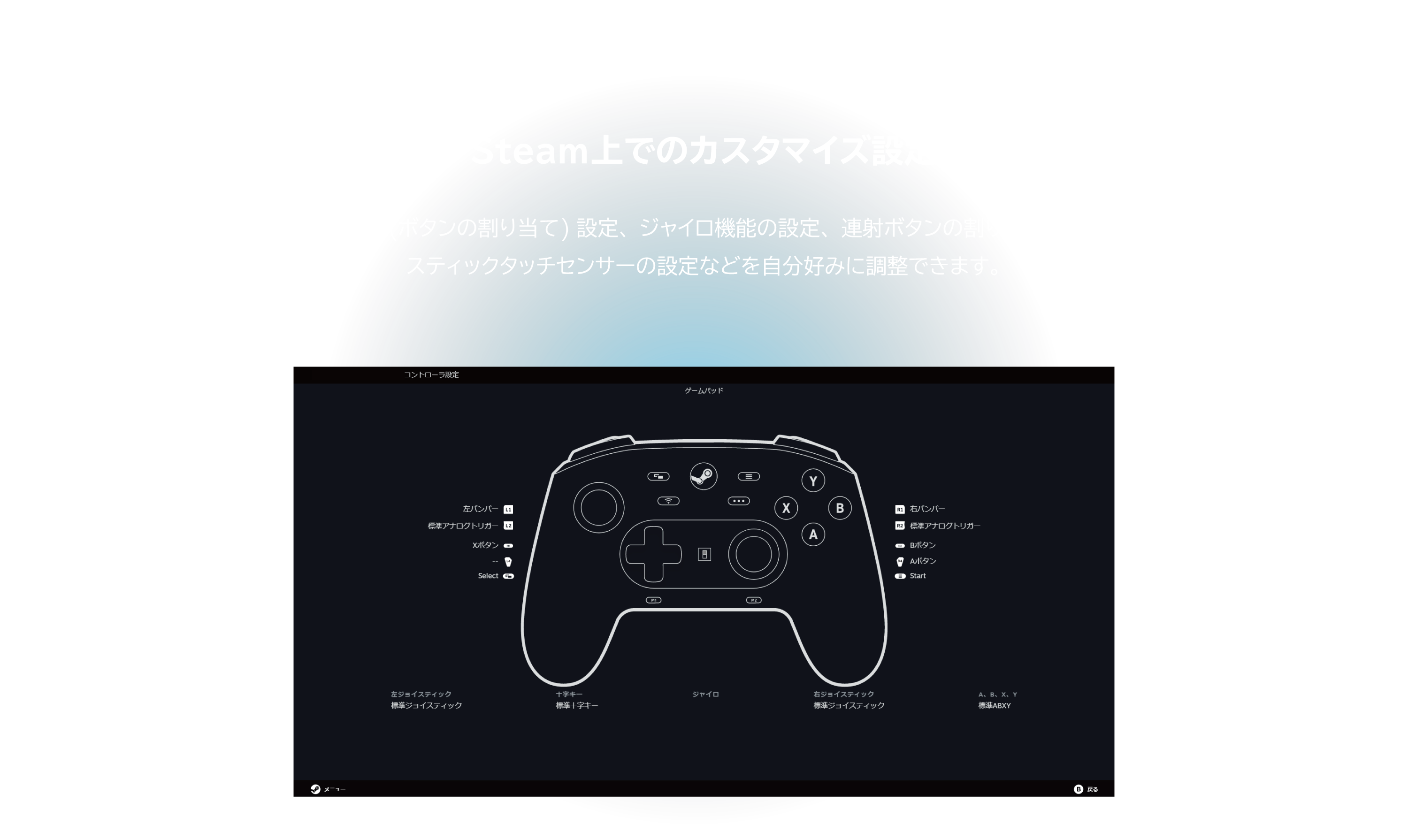 Steam誘導